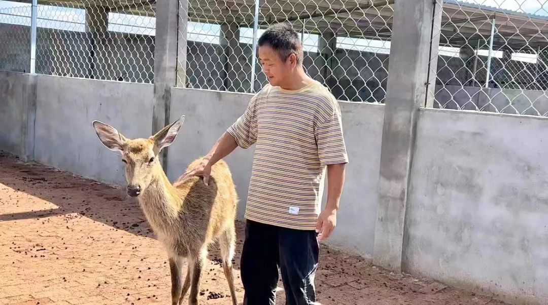 百威红包怎么领取